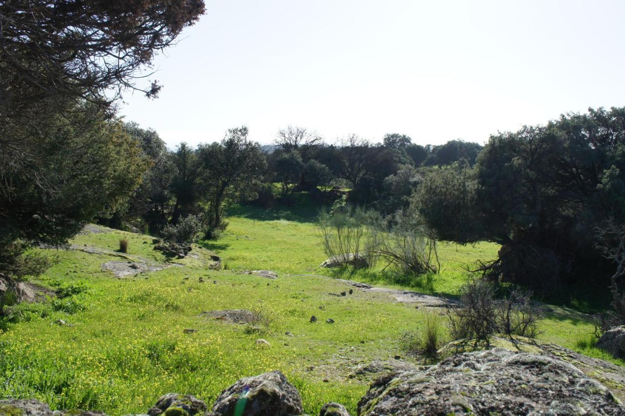 La Fragua De Manuel Pelahustan