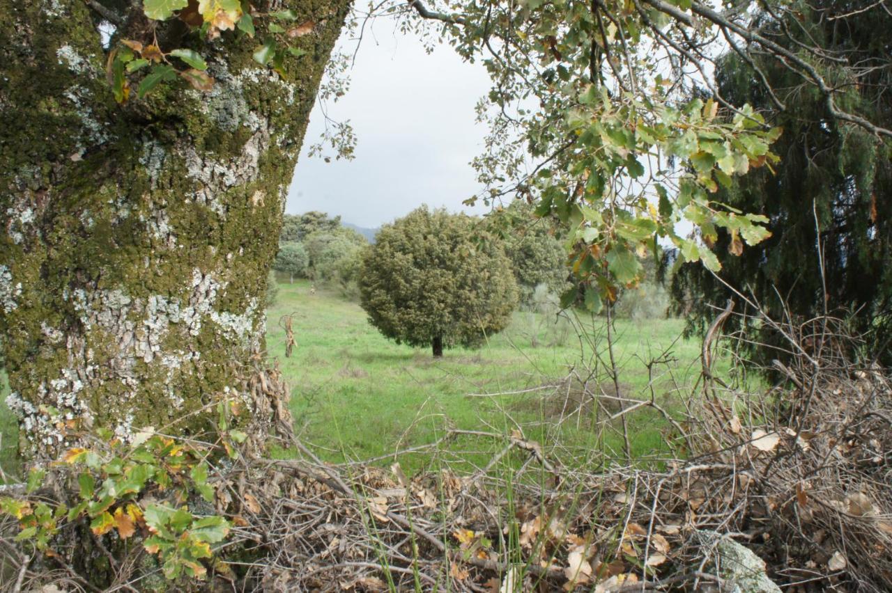 Holiday home La Fragua De Manuel *