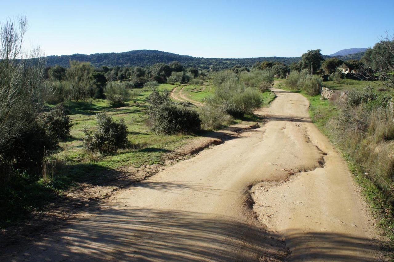 Holiday home La Fragua De Manuel *