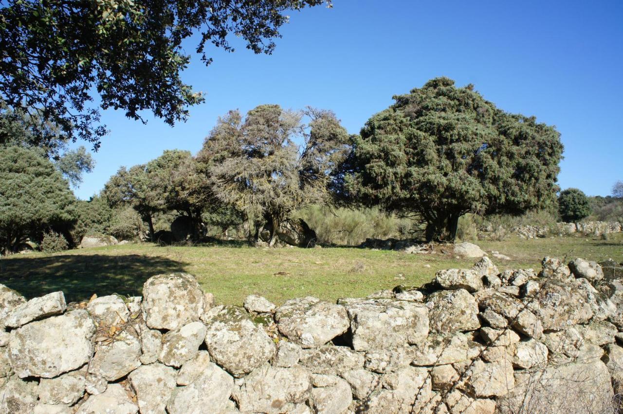 Holiday home La Fragua De Manuel *