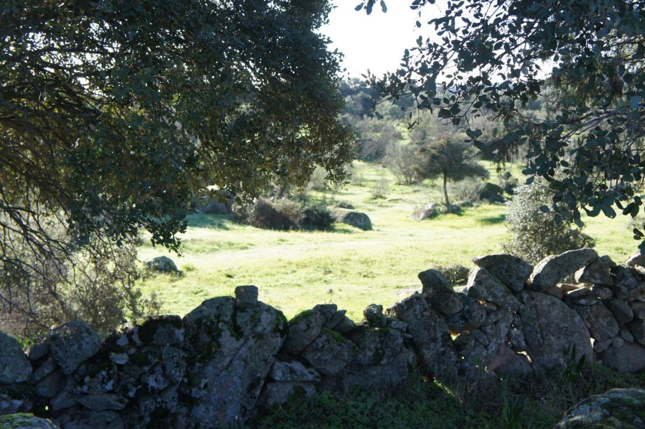 Holiday home La Fragua De Manuel