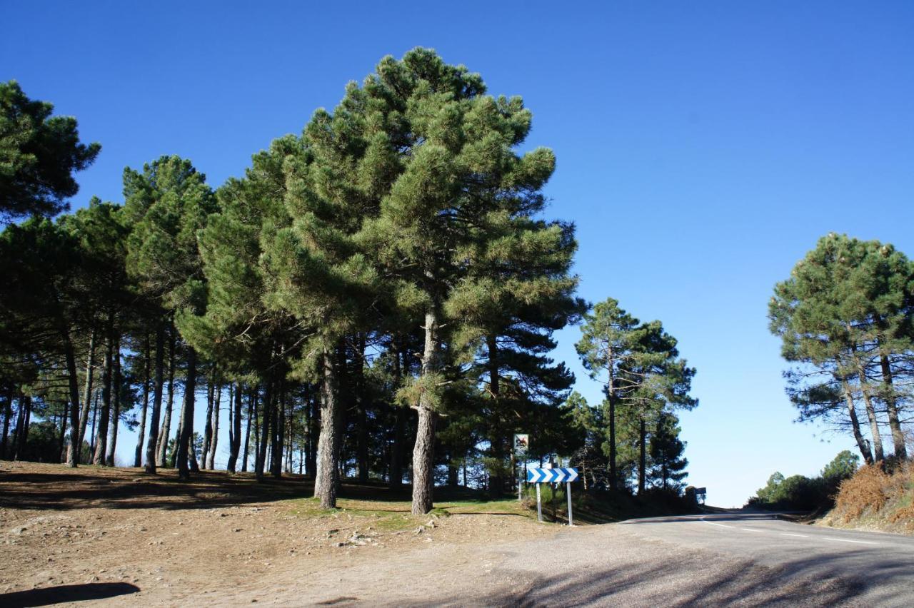 Holiday home La Fragua De Manuel *