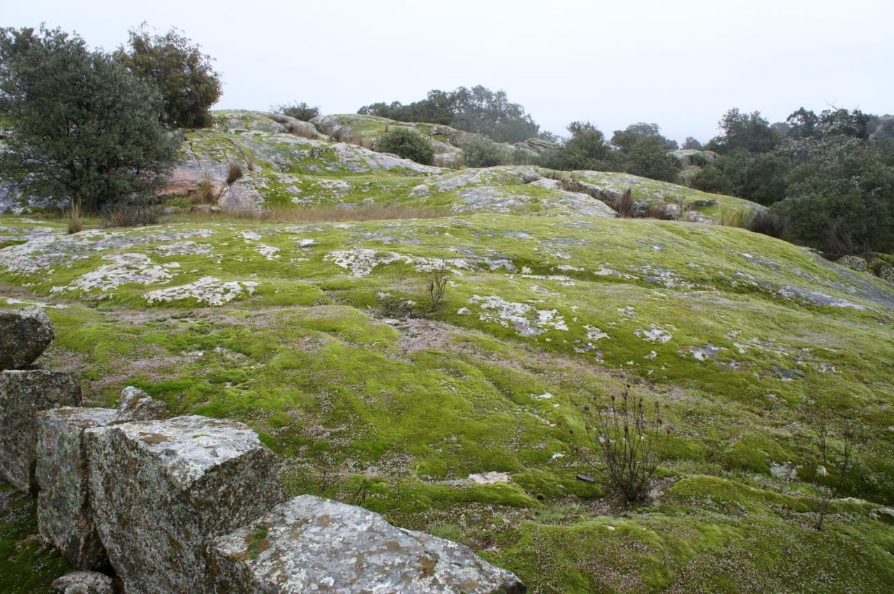 La Fragua De Manuel Holiday home
